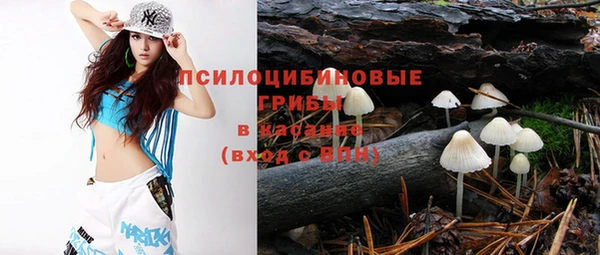 винт Алексеевка