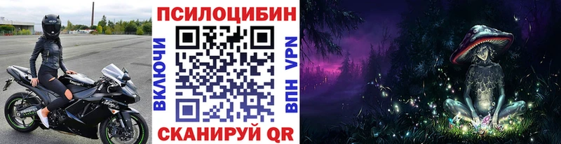 Галлюциногенные грибы мицелий  мега как войти  Петров Вал  купить наркотик 